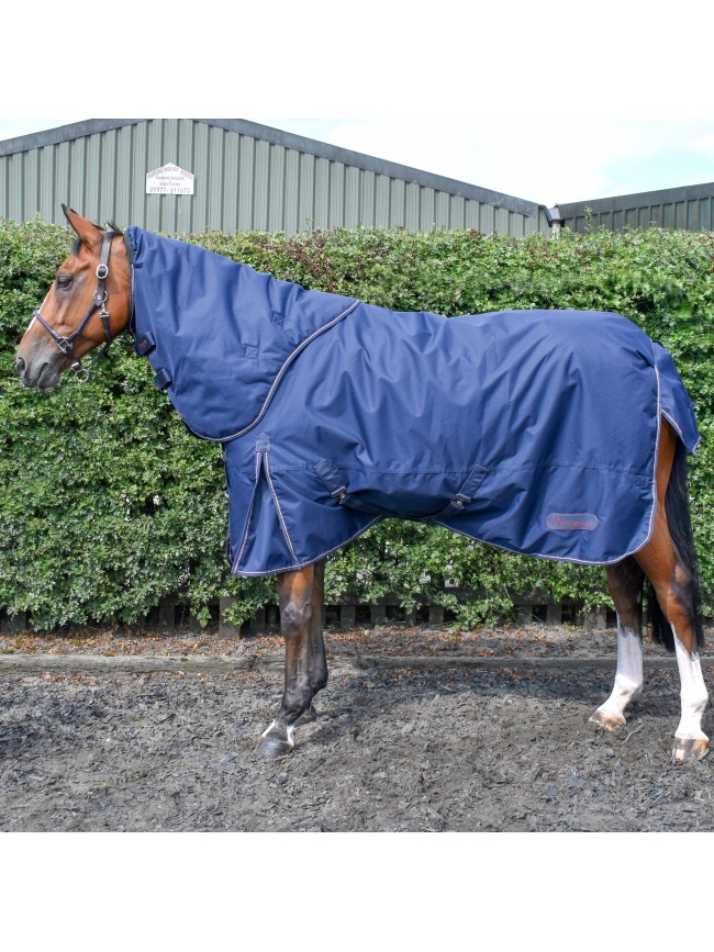 R360 Aster 150g Combo Turnout Rug
